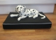 Thumbnail Hundewasserbett in 60x80cm