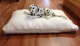Thumbnail Hundewasserbett in 80x120cm